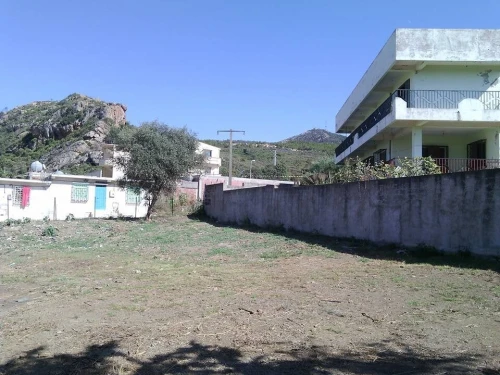Vente Terrain Jijel Jijel