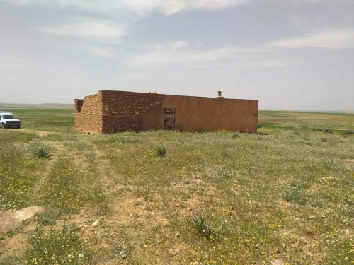 Vente Terrain Agricole Tiaret Naima