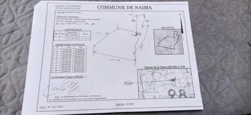 Vente Terrain Agricole Tiaret Naima