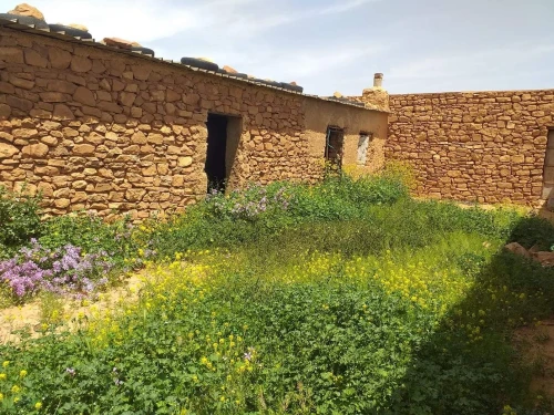 Vente Terrain Agricole Tiaret Naima