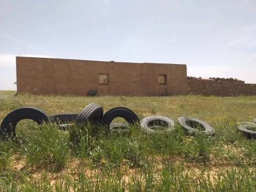 Vente Terrain Agricole Tiaret Naima