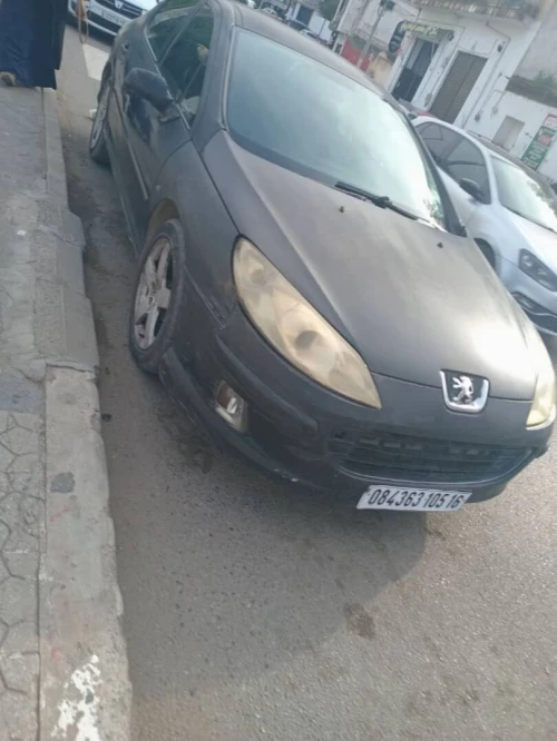 Peugeot 407 2005 407