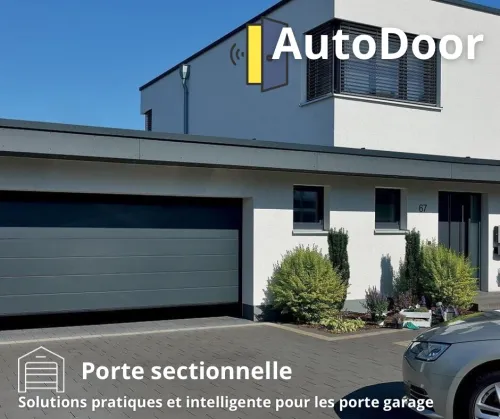 Porte sectionnelle de panneaux sandwich