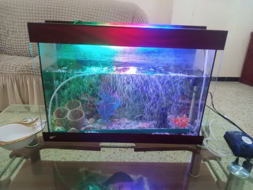 Je met en vente une aquarium état 9/10 intéressé apel seulement 