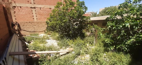 Vente Terrain Saïda Ain el hadjar