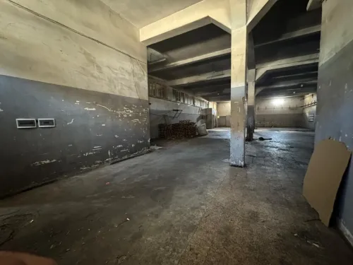 Vente Hangar - Usine Sétif Setif