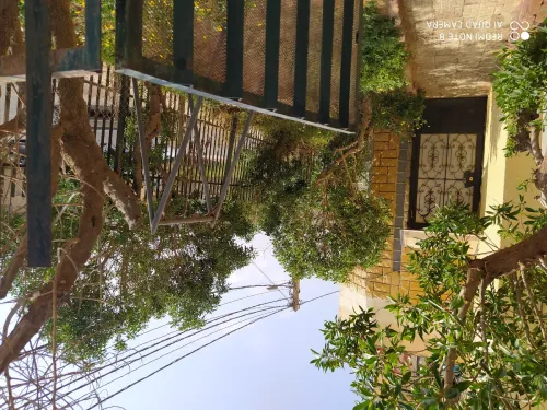 Location vacances Appartement F2 Alger Ain benian