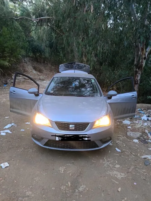 Seat Ibiza 2017 