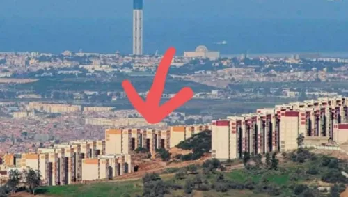 Vente Appartement F3 Blida Meftah
