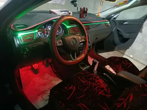 Skoda Rapid 2019 Monter carlo