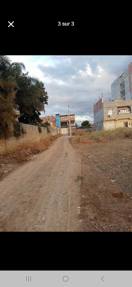 Vente Terrain Alger Ouled chebel