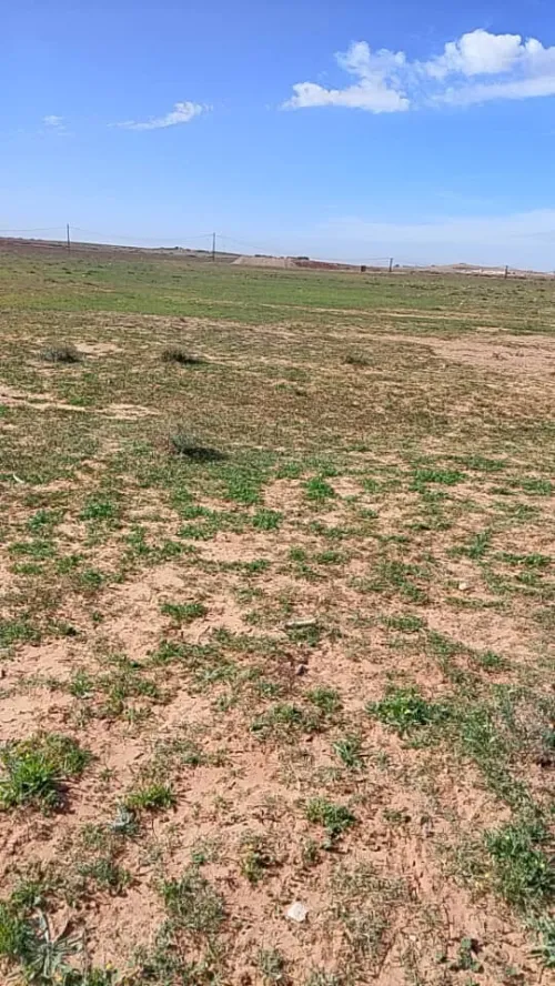Vente Terrain Agricole Djelfa Benhar
