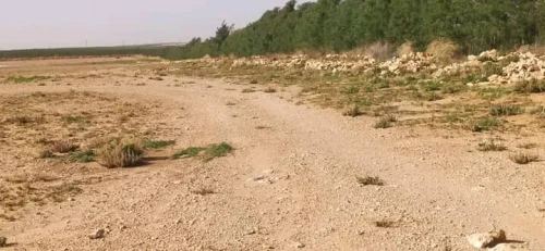 Vente Terrain Agricole Djelfa Benhar