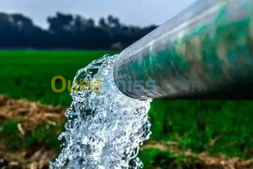 Vente Terrain Agricole Djelfa Benhar