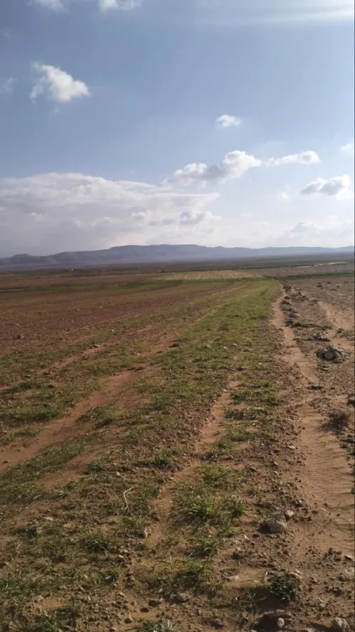 Vente Terrain Agricole Djelfa Ain oussara