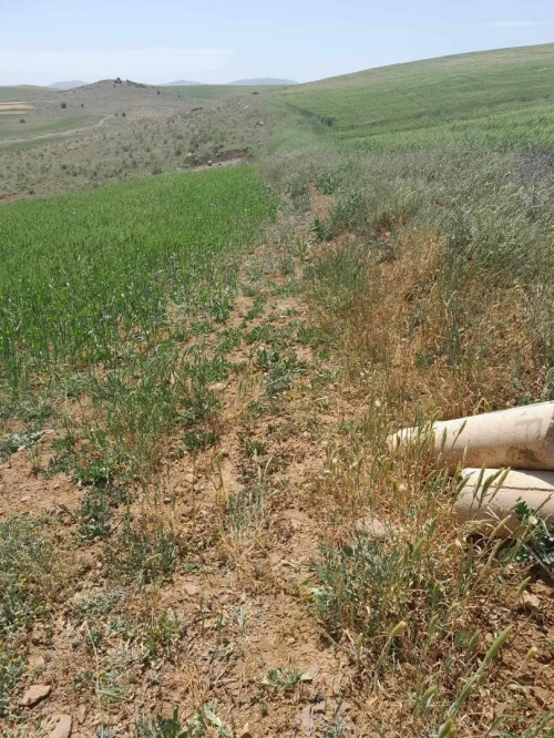 Vente Terrain Agricole Bouira Sour el ghouzlane