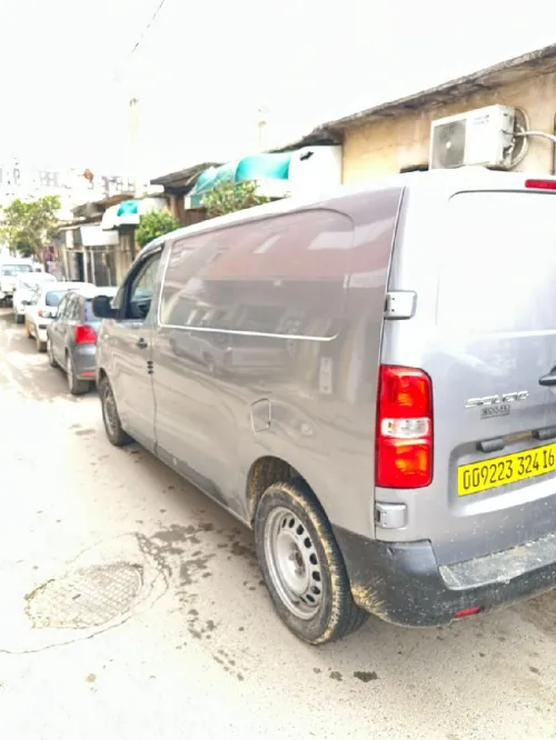 Fiat Scoudo 2024 Tot