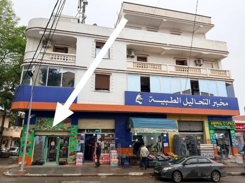 Location Local Tipaza Tipaza