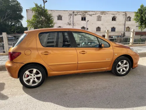 Peugeot 307 2006 