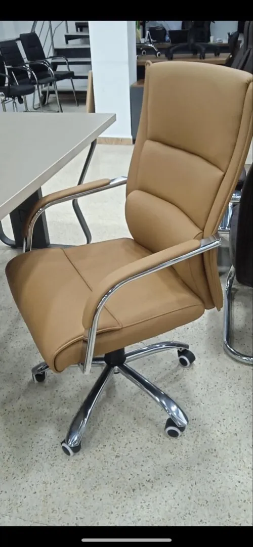 Chaises de bureaux 