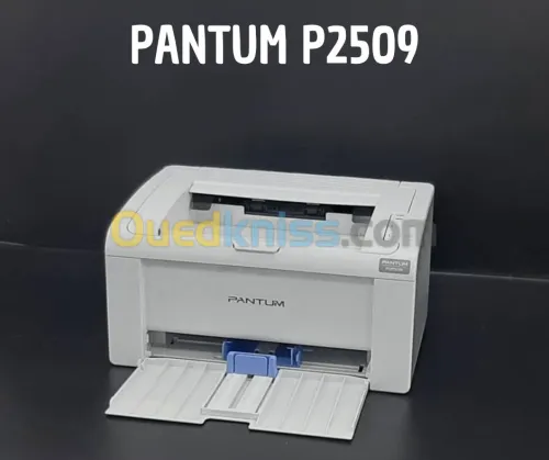 imprimante pantum p2509 