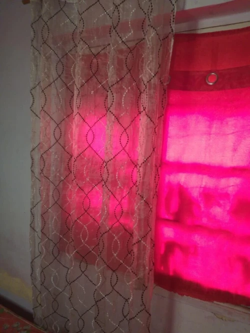 Vente Studio Oran Oran