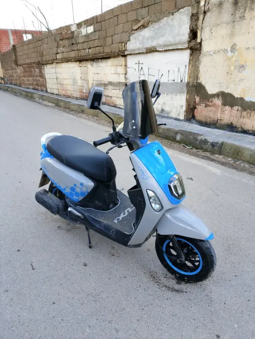 Vms Cuxi estate 2023