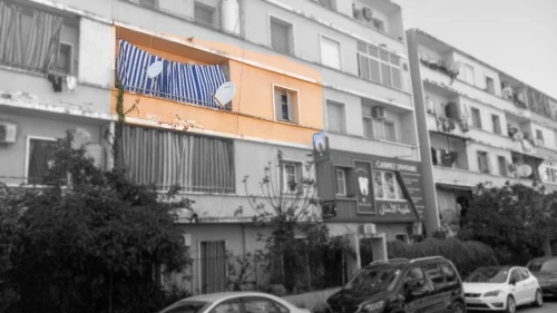 Vente Appartement F4 Blida Blida