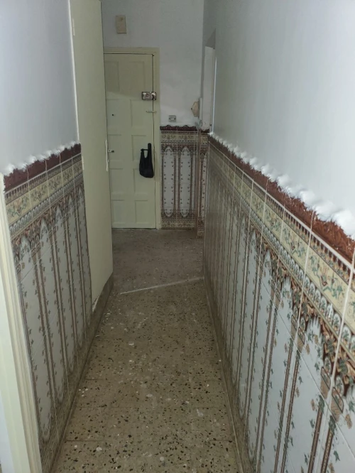 Vente Appartement F3 Alger Reghaia