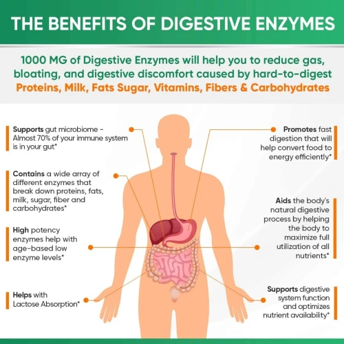 Enzymes Digestives Naturelles 1000mg