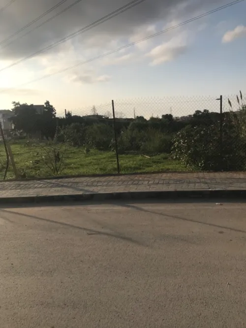 Vente Terrain Alger Ain naadja