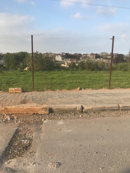 Vente Terrain Alger Ain naadja