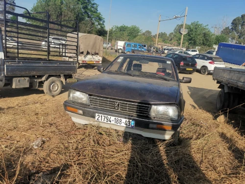 Peugeot 505 1988 505