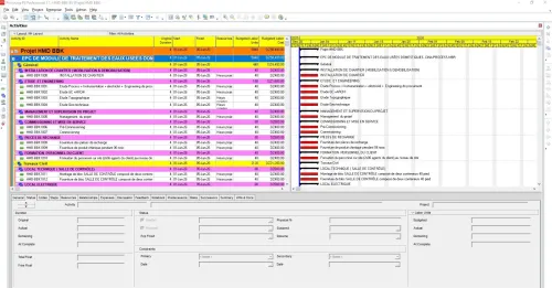 Consulting in Project Management
