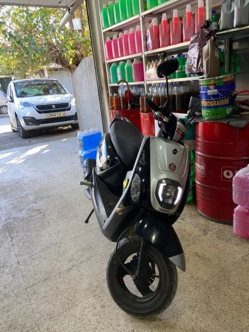 estate x vms 2022