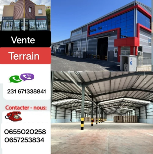 Vente Terrain Boumerdès Ouled moussa