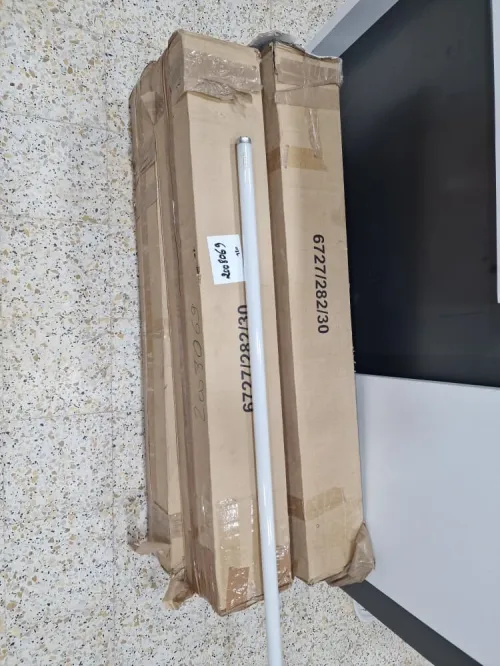 Lumière Néon 220V TUNGS