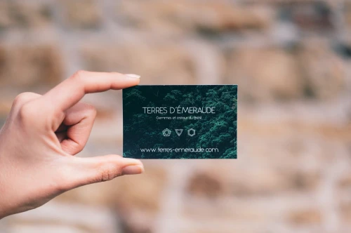 Graphic designer-Logo-carte de visite-Flyer....