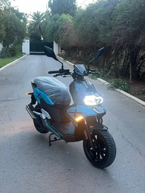 Vms Bws 2025
