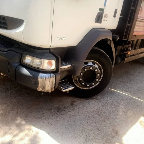 Camion Renault 220 2010