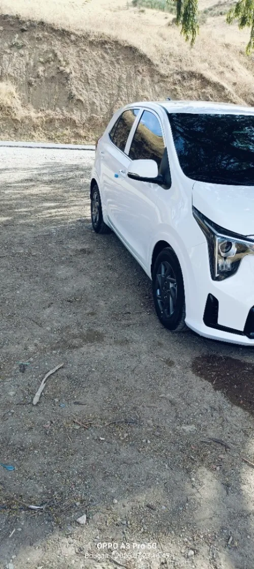 Kia Picanto 2023 Mornig
