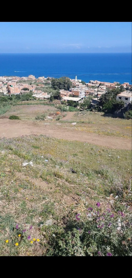 Vente Terrain Boumerdès Djinet