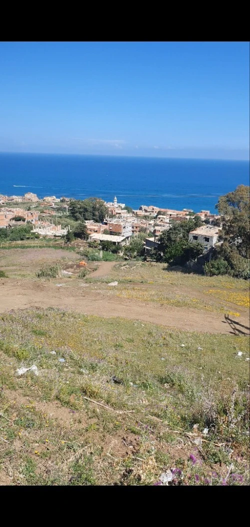 Vente Terrain Boumerdès Djinet
