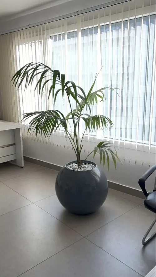 Les pots de fleurs lux et moderne pour décoration intérieure et extérieure 