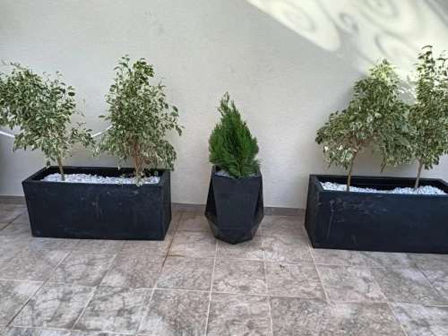 Aménagement floral de terasses avec des pots et plantes d'intérieur et extérieure 0559360090 
