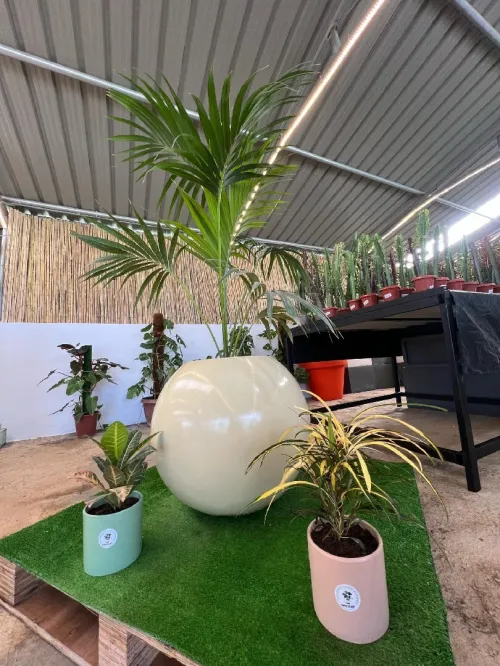 Aménagement floral de terasses avec des pots et plantes d'intérieur et extérieure 0559360090 