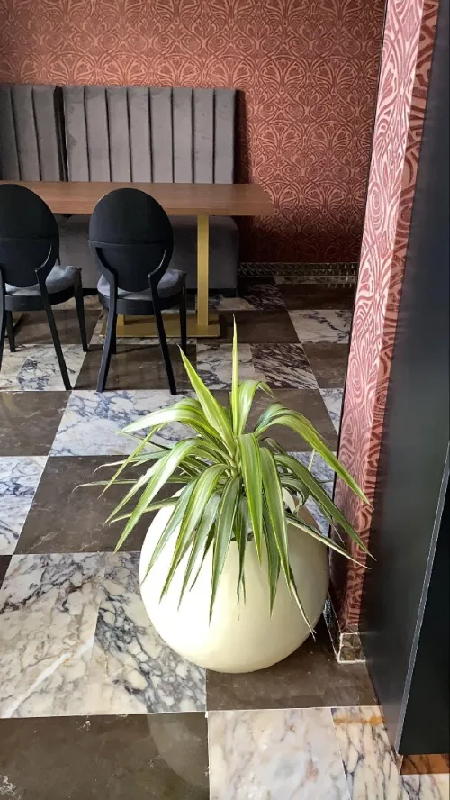 Aménagement floral de terasses avec des pots et plantes d'intérieur et extérieure 0559360090 