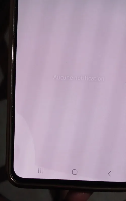 Samsung Galaxy S21FE
