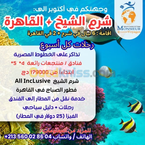 شرم الشيخ و القاهرة