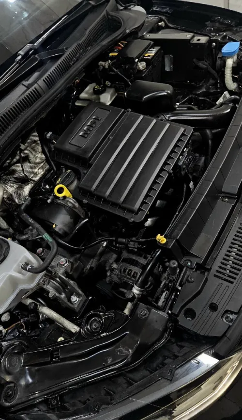 Volkswagen Polo 2019 Carat